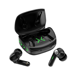 Dual MIC ENC TWS Bluetooth 5.3 Game Earphone